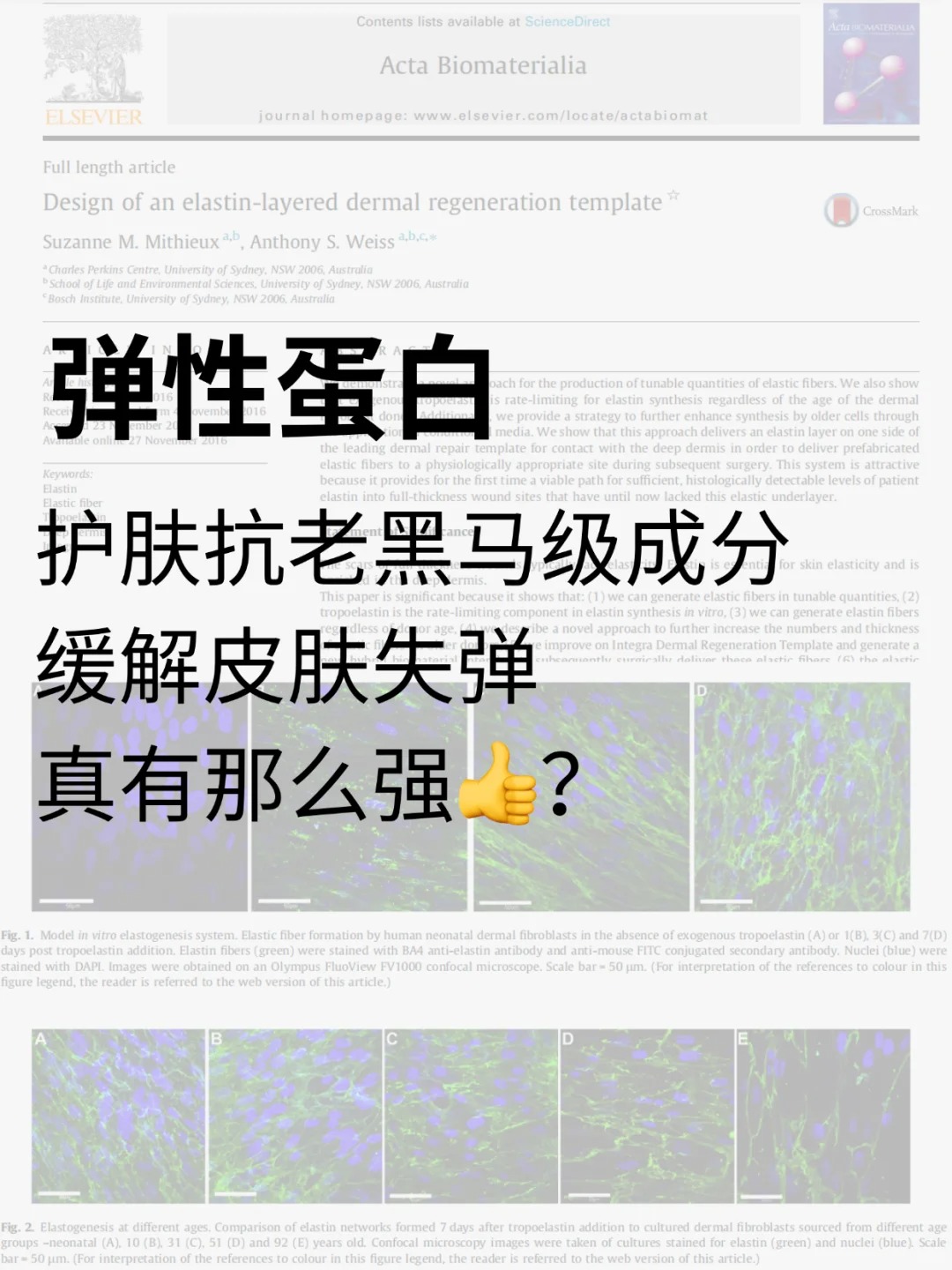 抗老成分：弹性蛋白，有效抗老真护法！_重组胶原蛋白